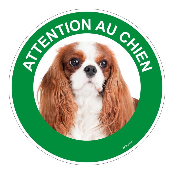 Panneau Attention au chien Cavalier king charles - Rigide Ø180mm - Novap