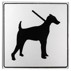 Panneau Prenez garde au chien par Klassen, 8 po x 12 po, plastique,  noir/jaune